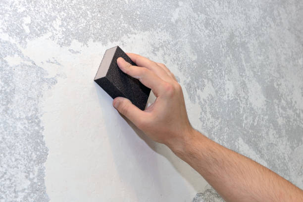 Best Mold Odor Removal Services  in Coal Valley, IL