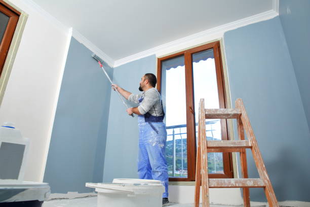 Professional Mold Removal in Coal Valley, IL