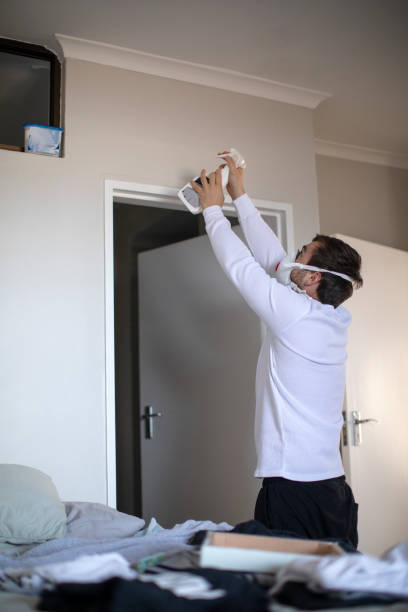 Best Black Mold Removal  in Coal Valley, IL