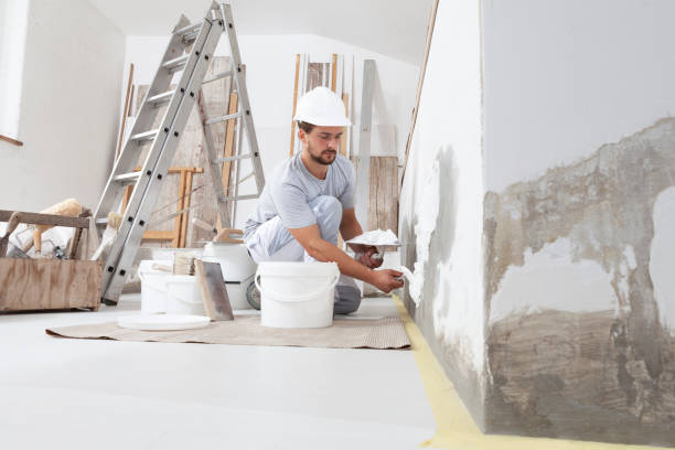  Coal Valley, IL Mold Removal Pros