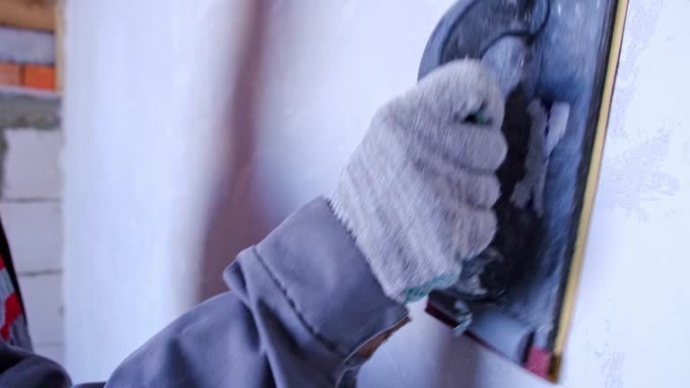 Best Mold Damage Restoration  in Coal Valley, IL
