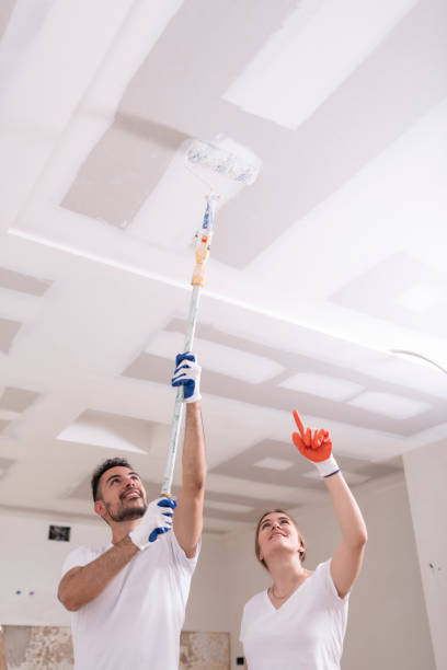 Best Emergency Mold Remediation  in Coal Valley, IL