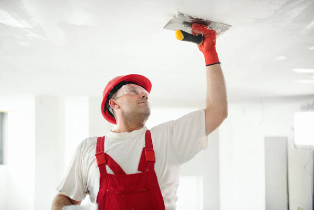 Best Indoor Air Quality Assessment  in Coal Valley, IL
