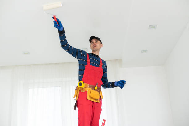 Best Commercial Mold Inspection  in Coal Valley, IL