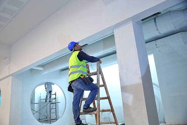 Best Mold Prevention Services  in Coal Valley, IL