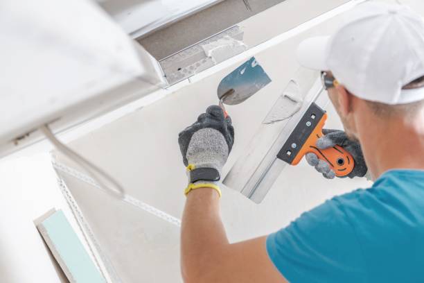 Asbestos and Lead Testing During Mold Inspection in Coal Valley, IL
